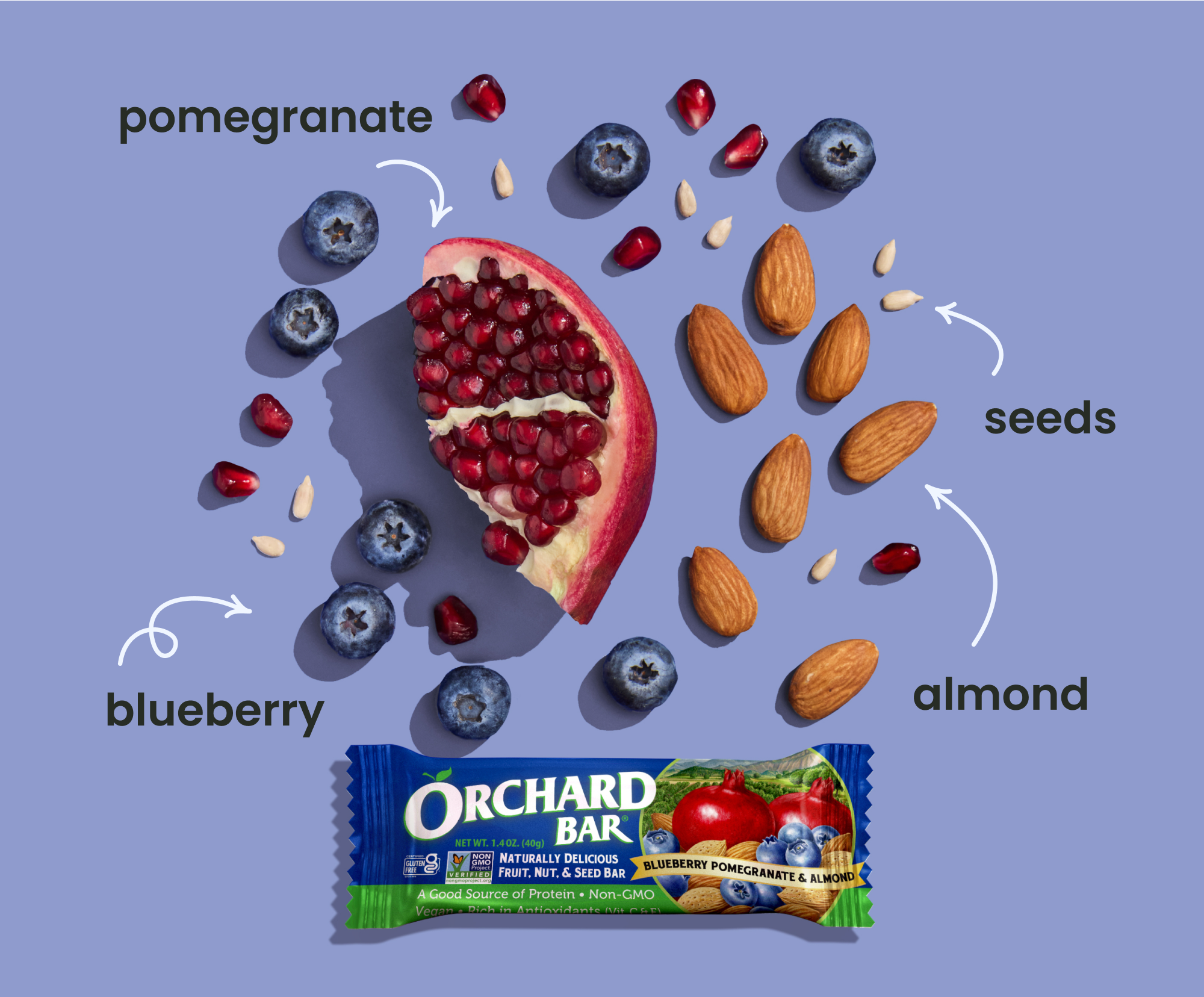 Blueberry Pomegranate Almond bar with fresh blueberries, pomegranate seeds, and almonds