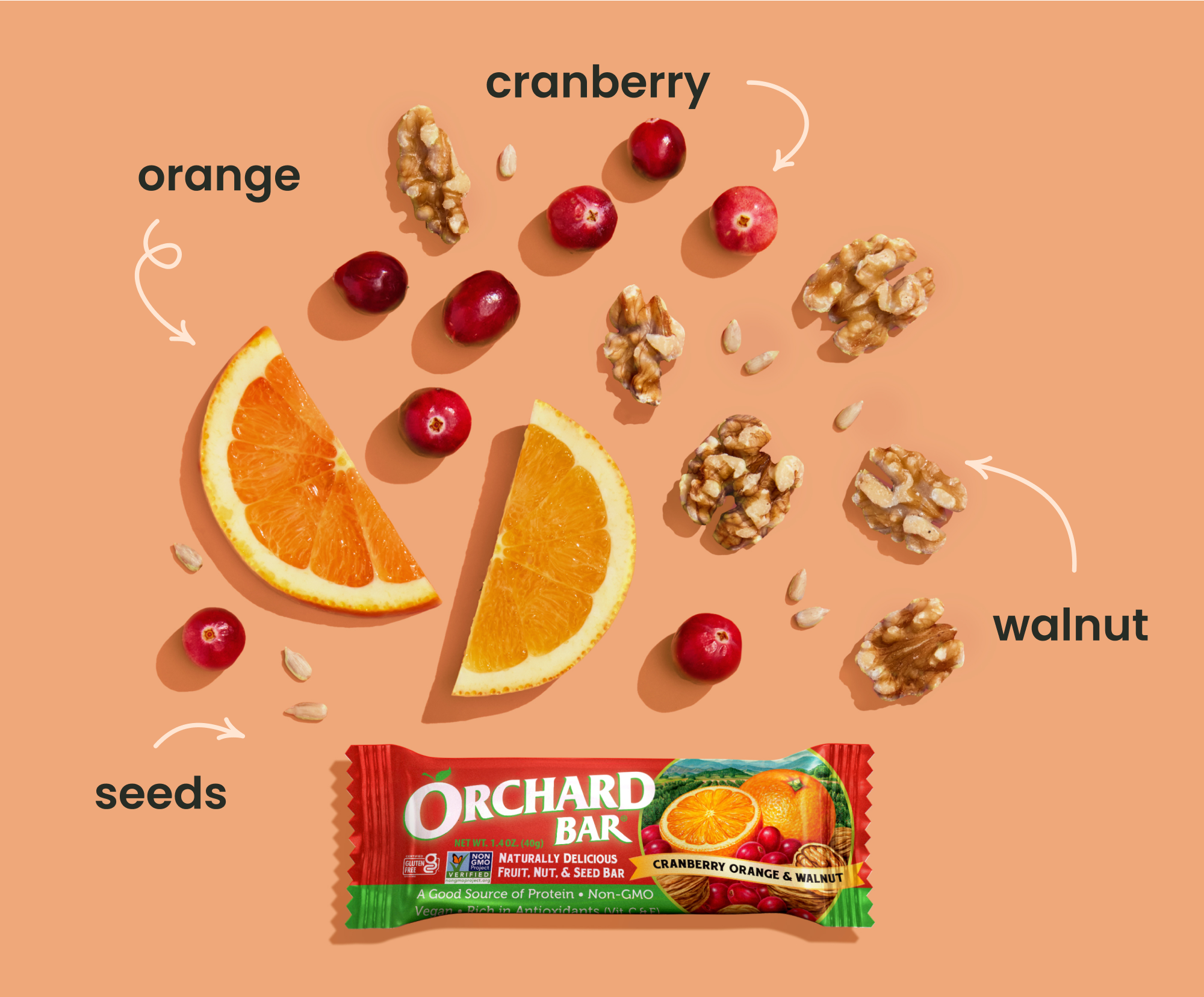 Cranberry Orange & Walnut bar displayed with fresh cranberries, orange peel, and walnuts